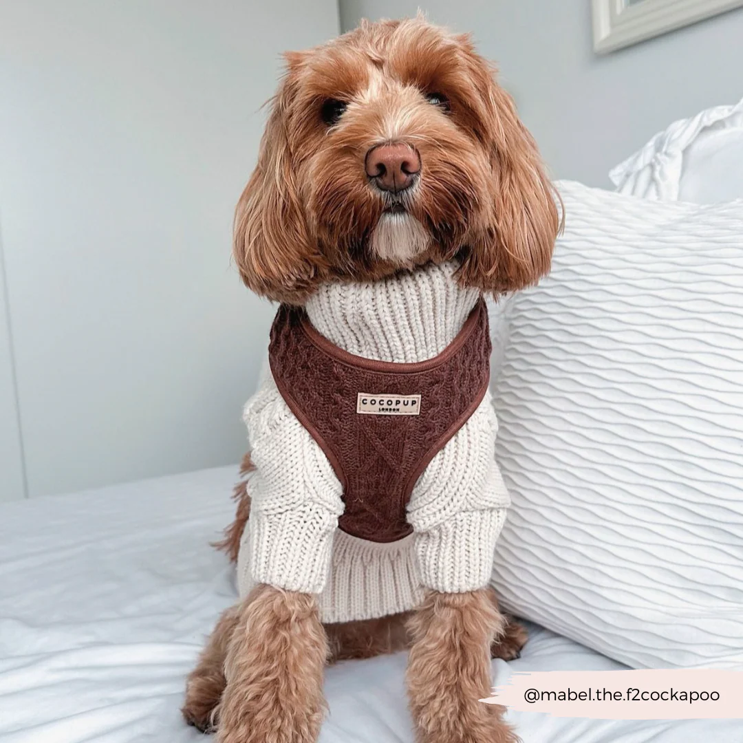 Cable Knit Adjustable Neck HARNESS - Hot Coco - Image 21