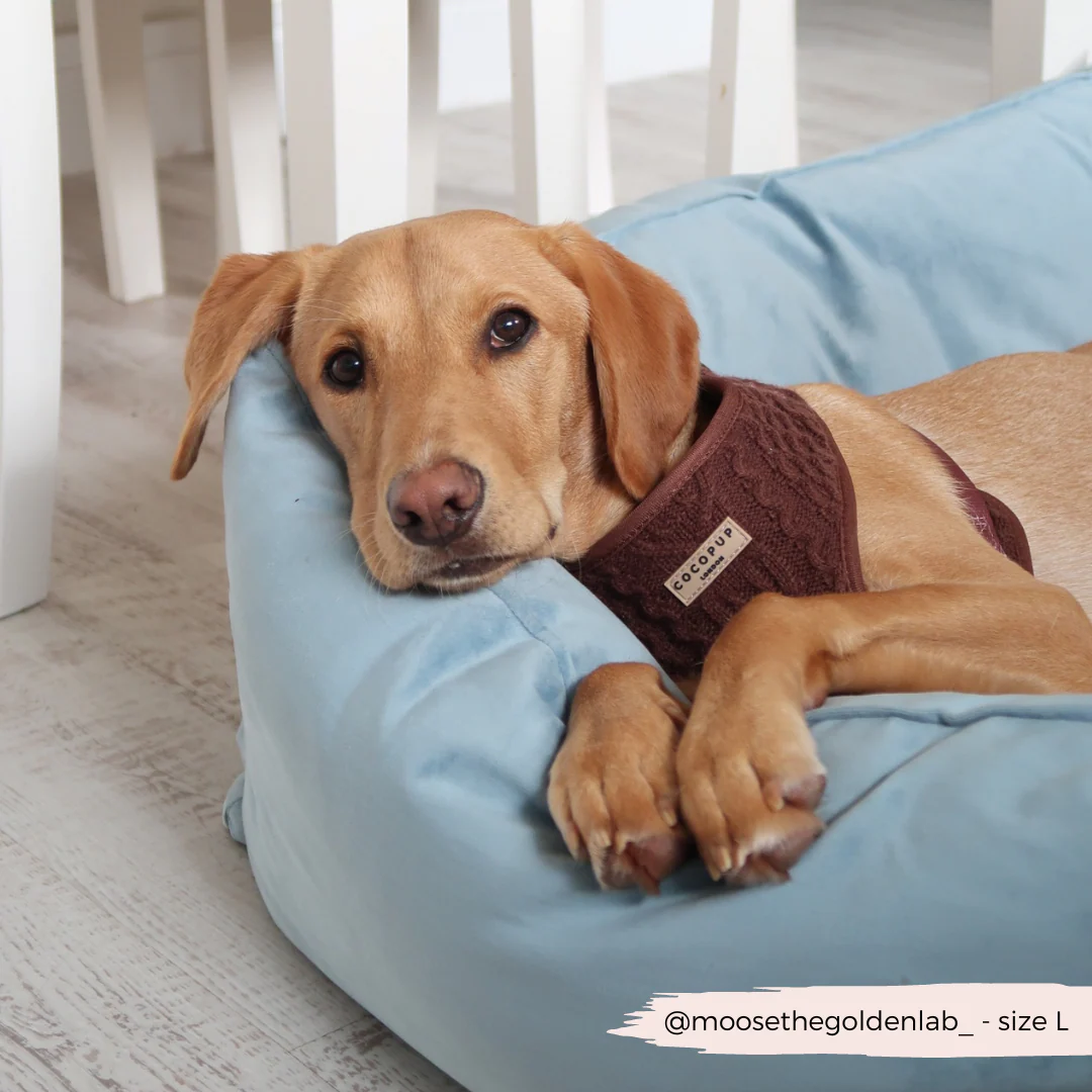 Cable Knit Adjustable Neck HARNESS - Hot Coco - Image 7