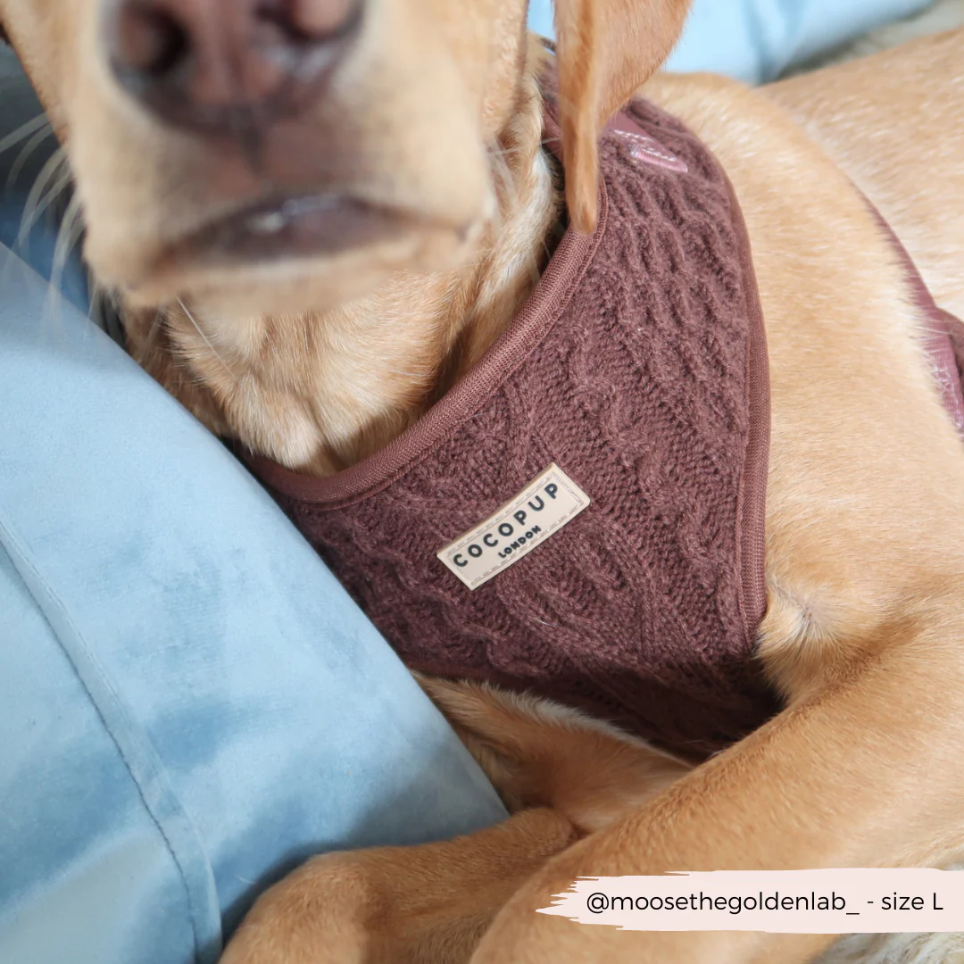 Cable Knit Adjustable Neck HARNESS - Hot Coco - Image 8