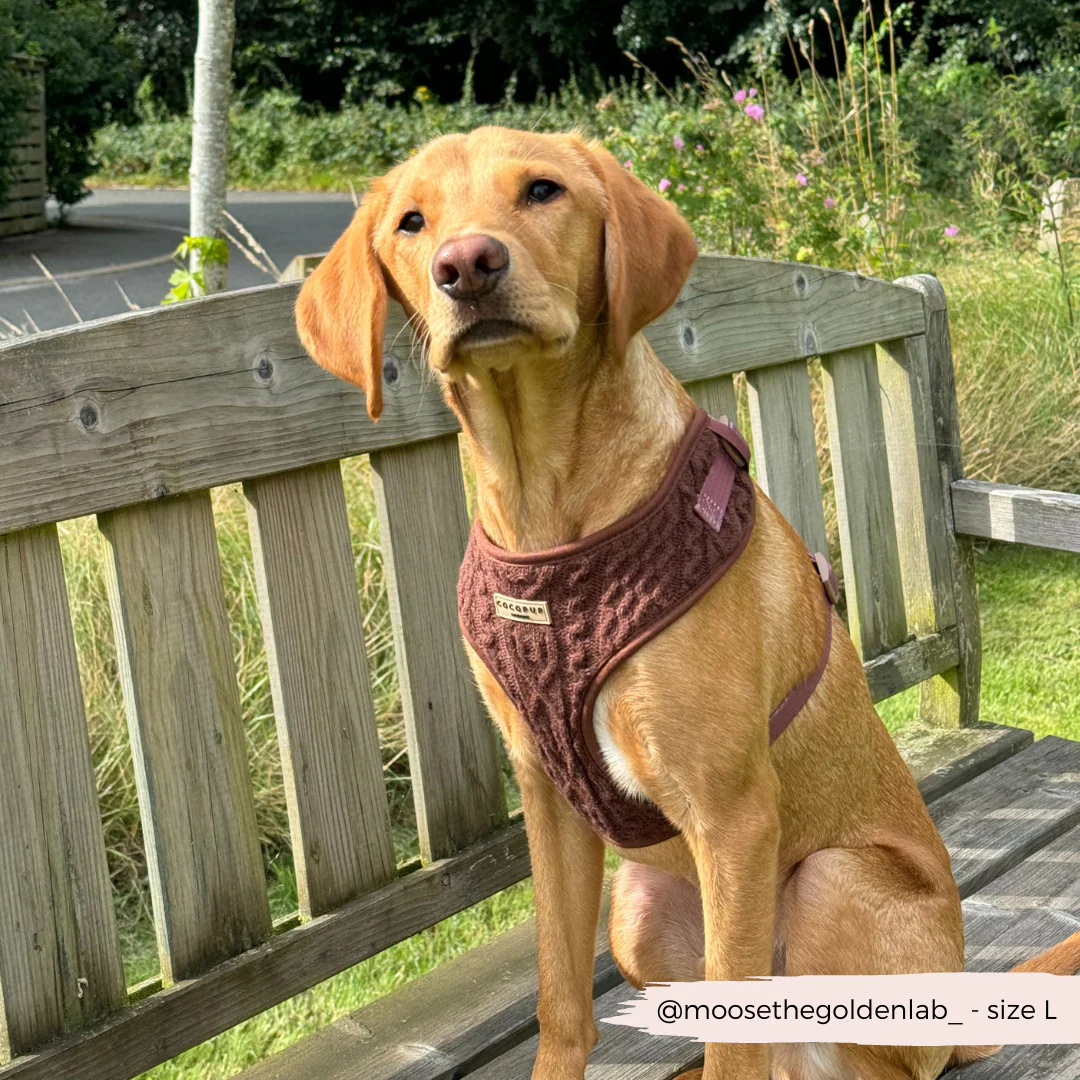 Cable Knit Adjustable Neck HARNESS - Hot Coco - Image 9