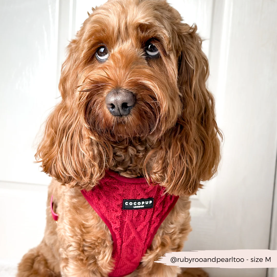 Cable Knit Adjustable Neck HARNESS - Mulled Pup Wine - Image 11
