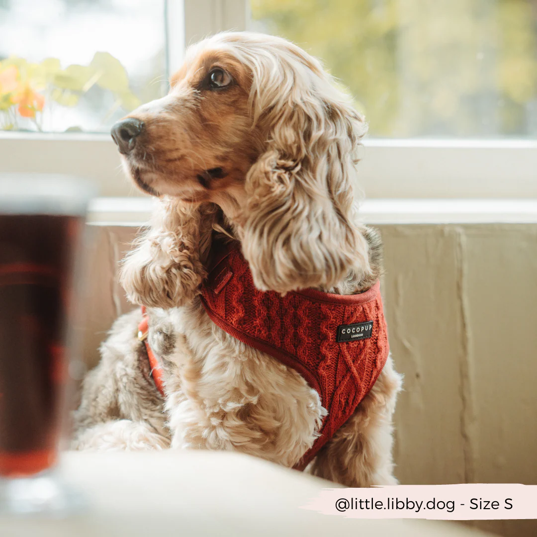 Cable Knit Adjustable Neck HARNESS - Mulled Pup Wine - Image 12