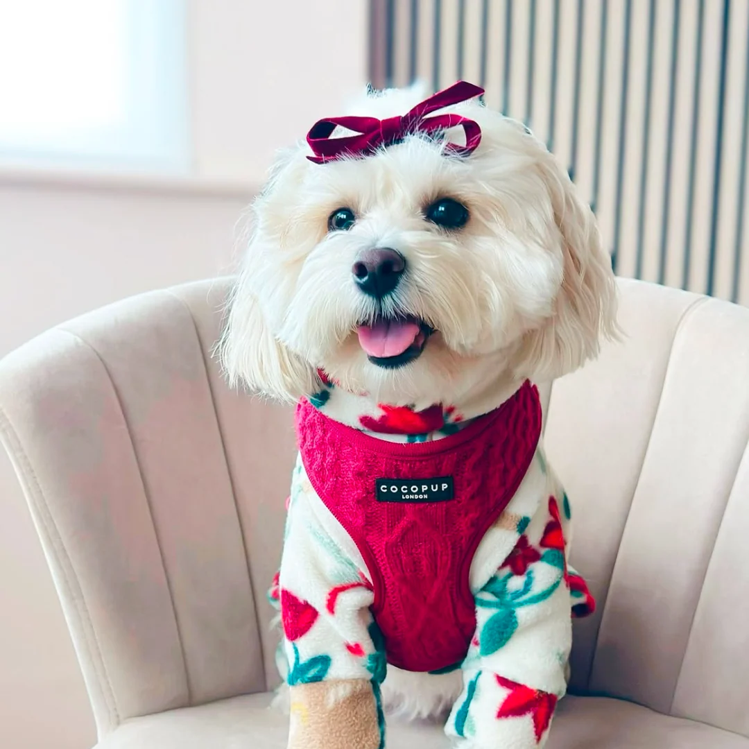 Cable Knit Adjustable Neck HARNESS - Mulled Pup Wine - Image 15