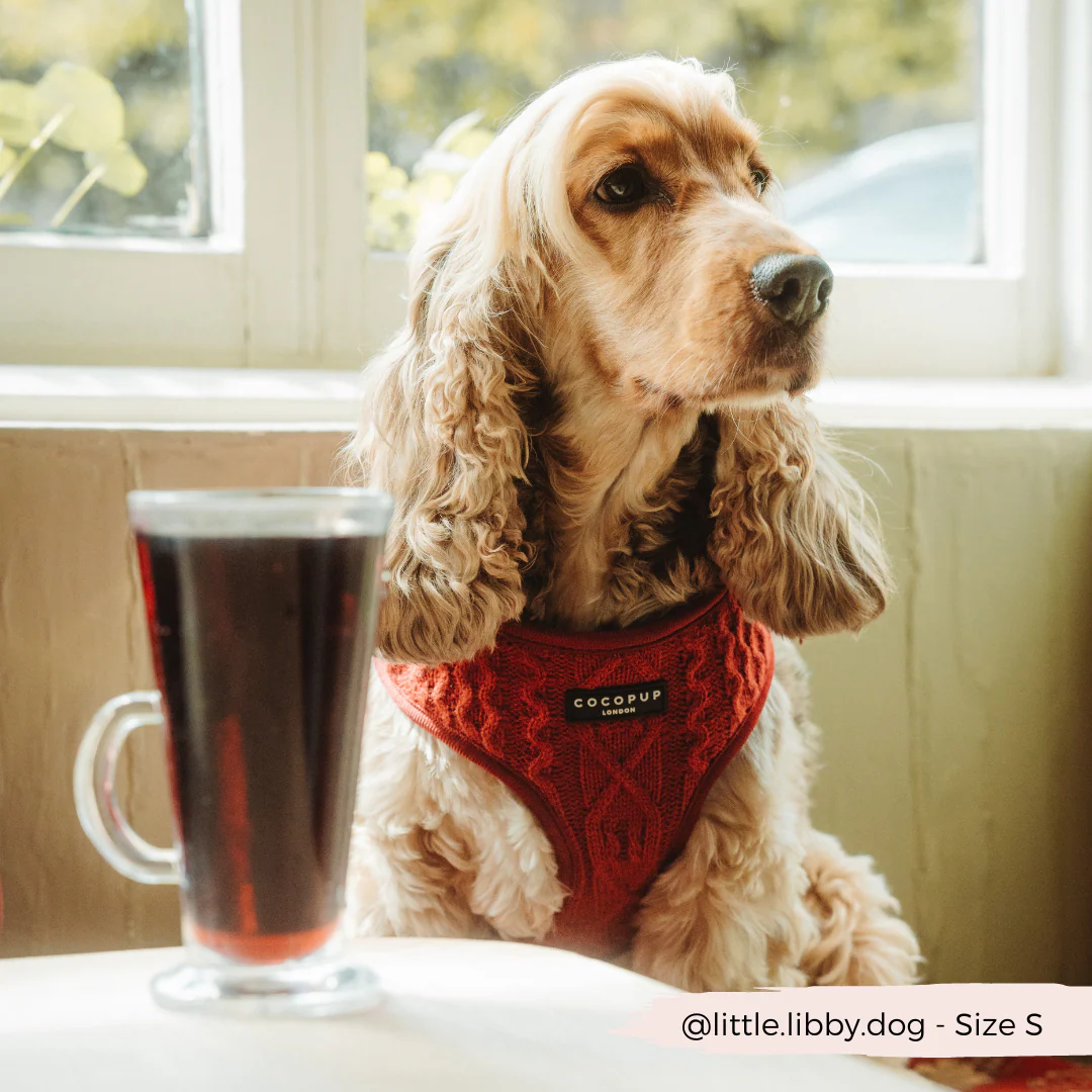 Cable Knit Adjustable Neck HARNESS - Mulled Pup Wine - Image 4