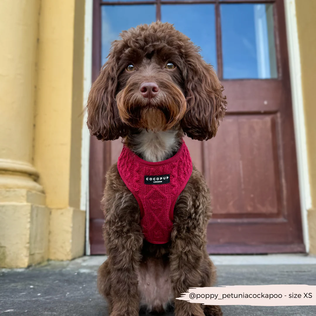 Cable Knit Adjustable Neck HARNESS - Mulled Pup Wine - Image 7