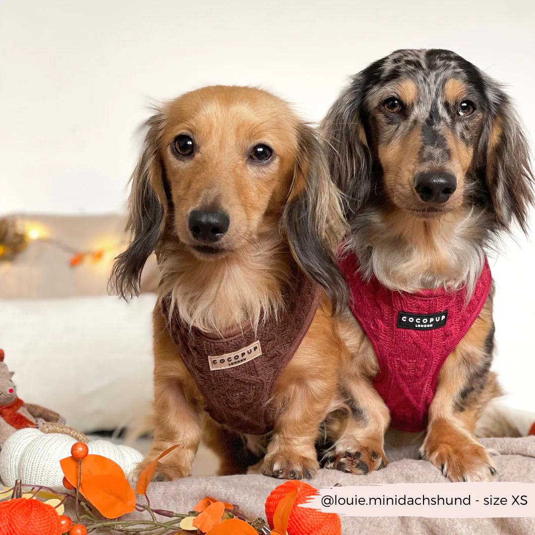 Cable Knit Adjustable Neck HARNESS - Mulled Pup Wine - Image 9
