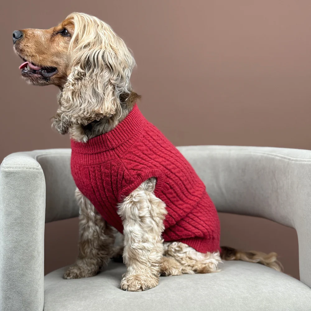 Jumper - Cable Knit Mulled Wine - Image 10