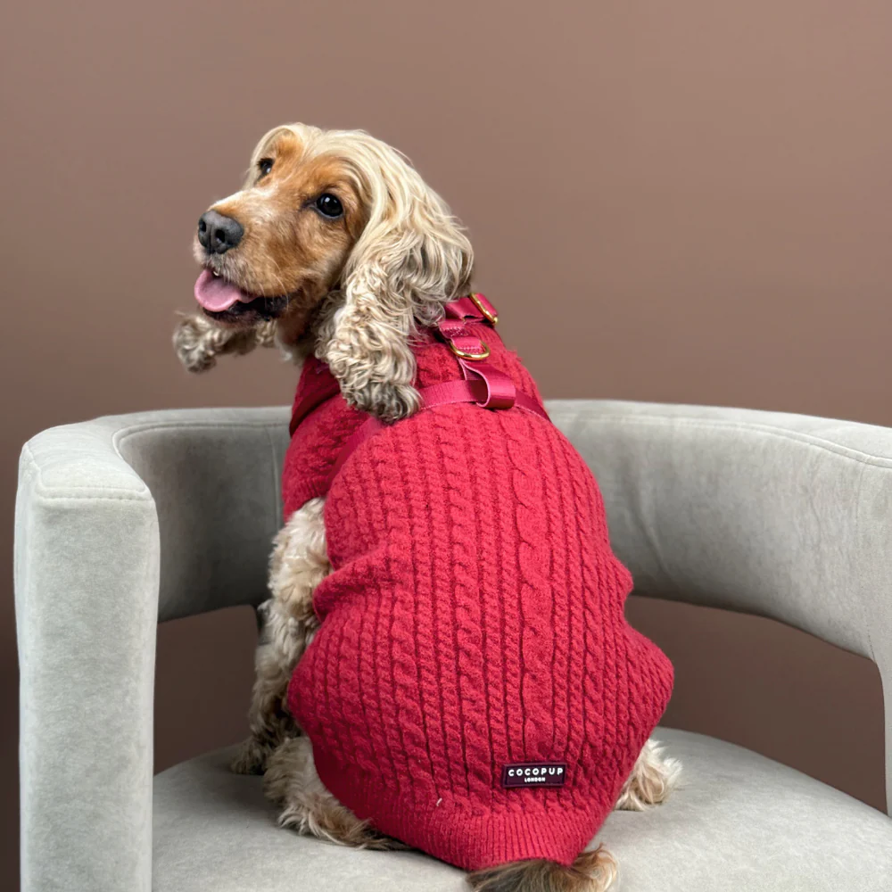 Jumper - Cable Knit Mulled Wine - Image 6