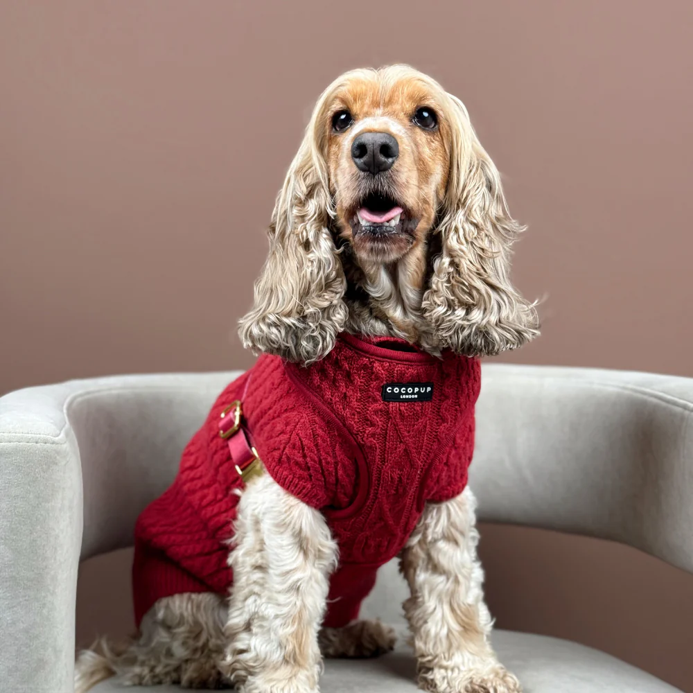Jumper - Cable Knit Mulled Wine - Image 7