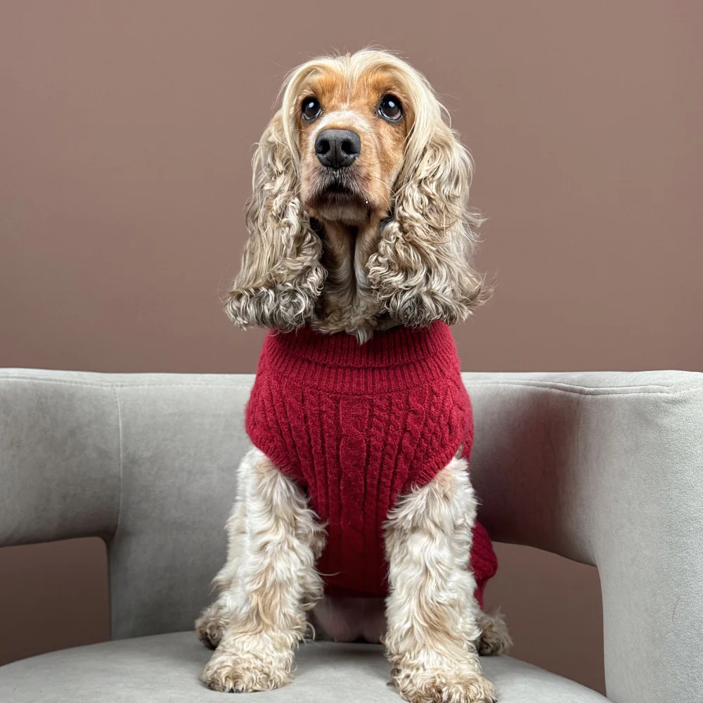 Jumper - Cable Knit Mulled Wine - Image 9