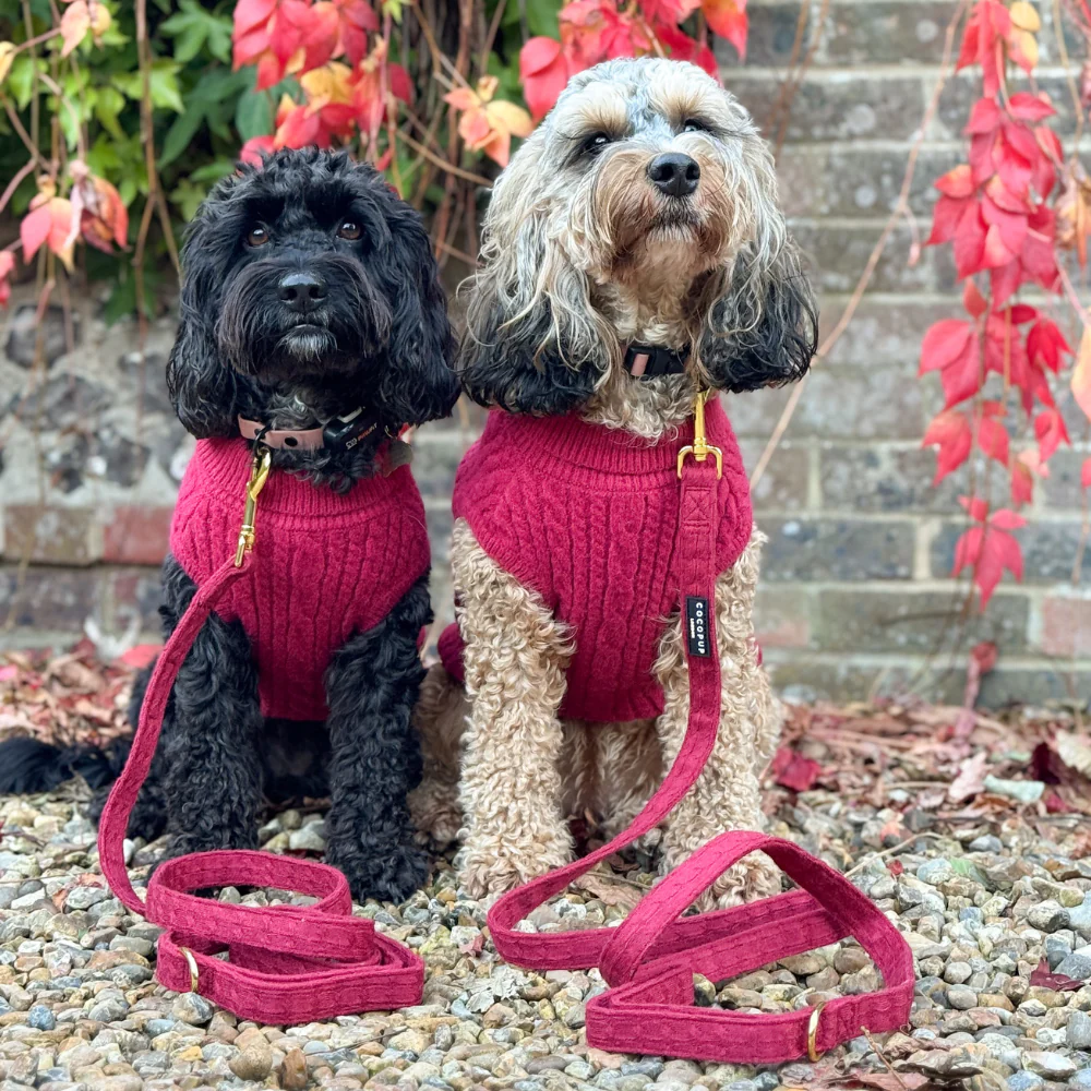 Cable Knit Lead - Mulled Wine - Image 3