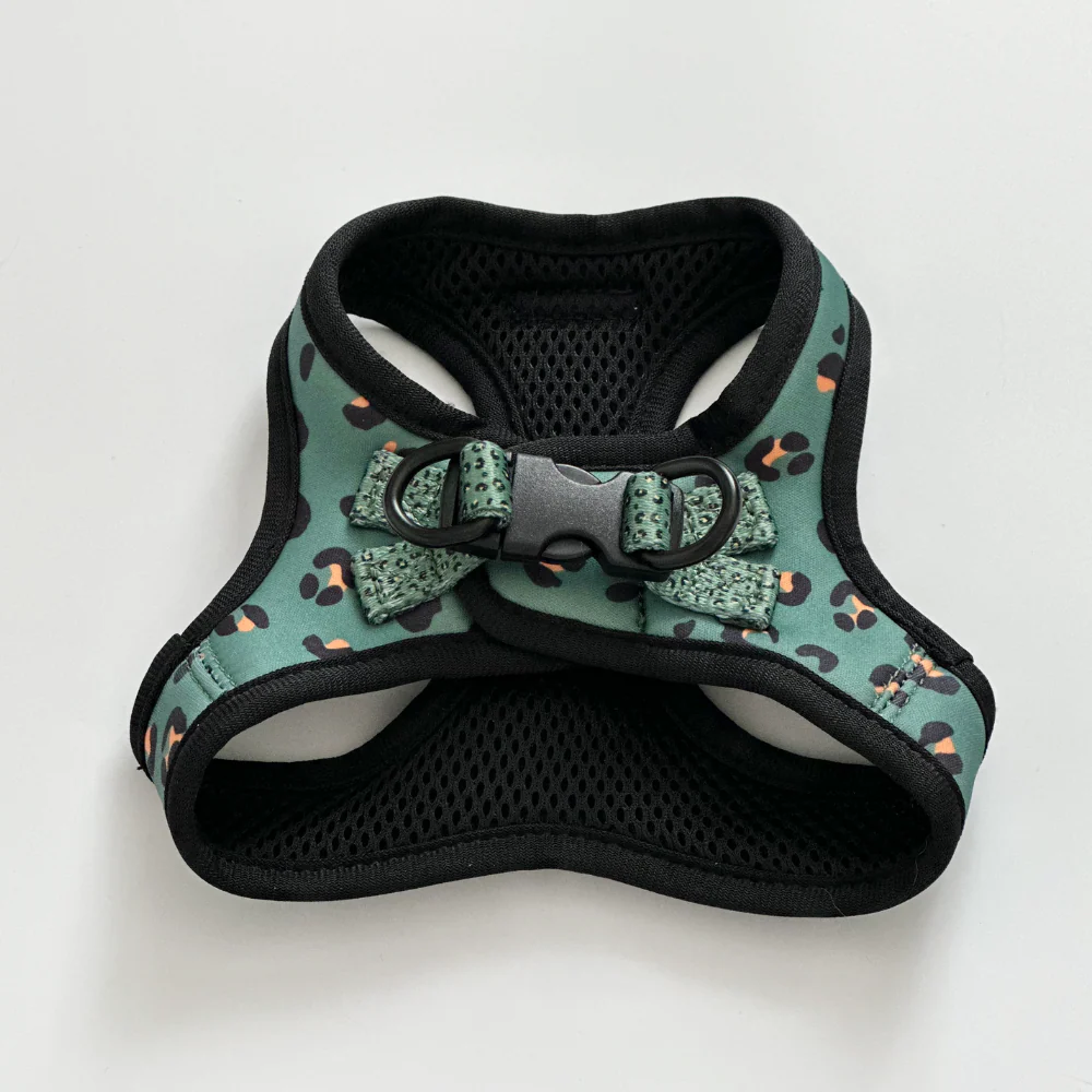 Cat Harness, Lead and Collar Bundle - Khaki Leopard - Image 3