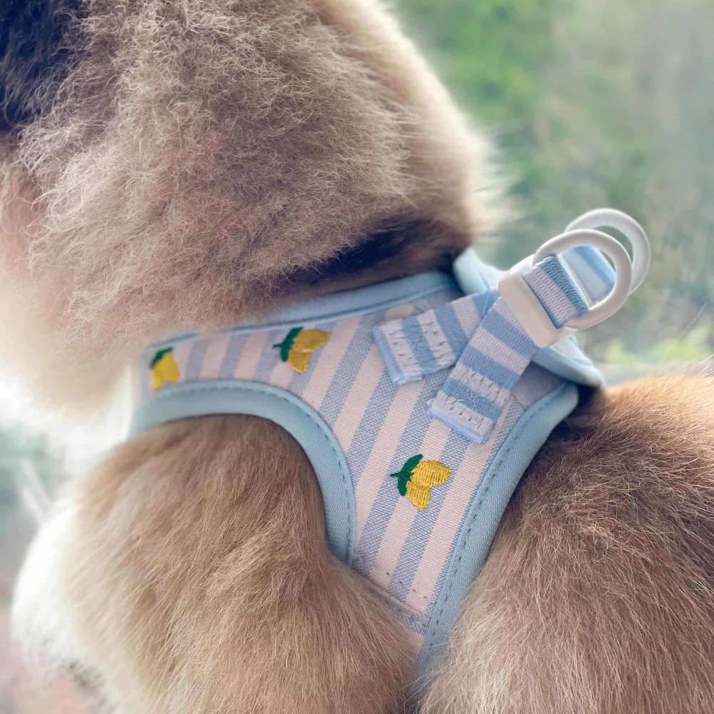 Cat Harness - Living La Vida Lemon - Image 5