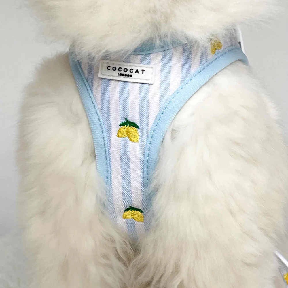 Cat Harness - Living La Vida Lemon - Image 8