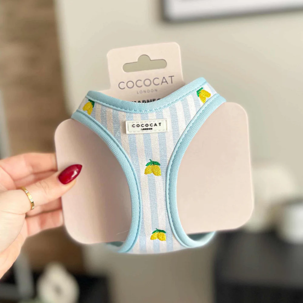 Cat Harness - Living La Vida Lemon - Image 11