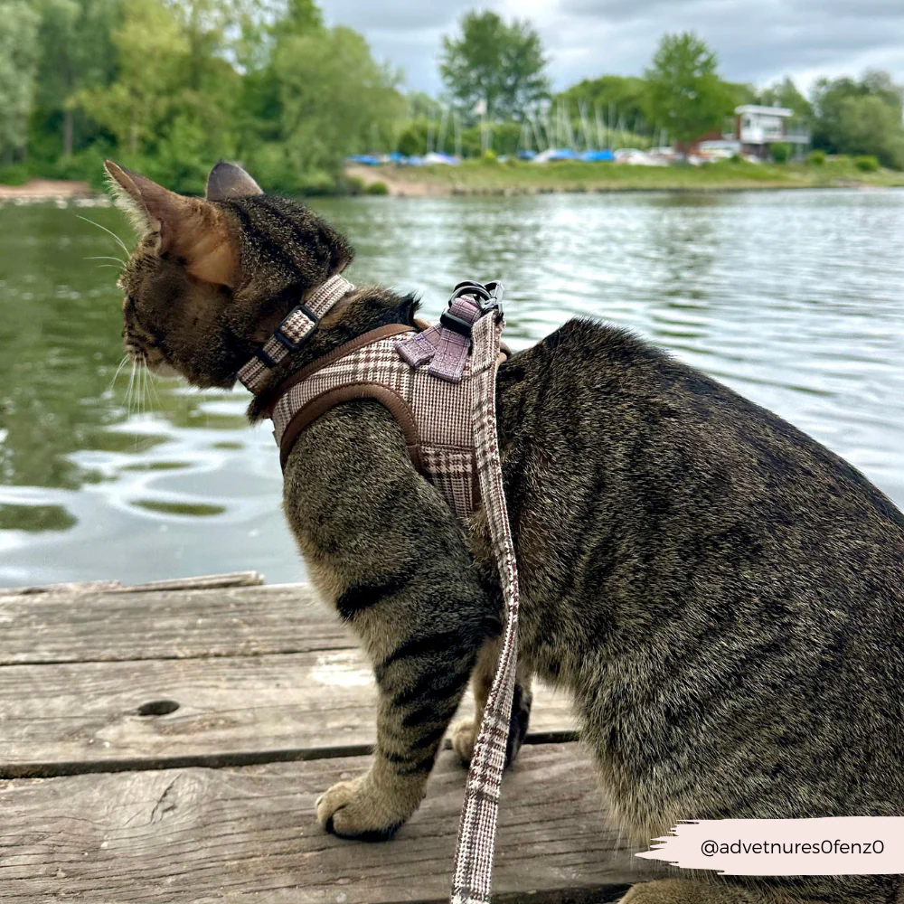 Cat Collar - Plaid - Image 3