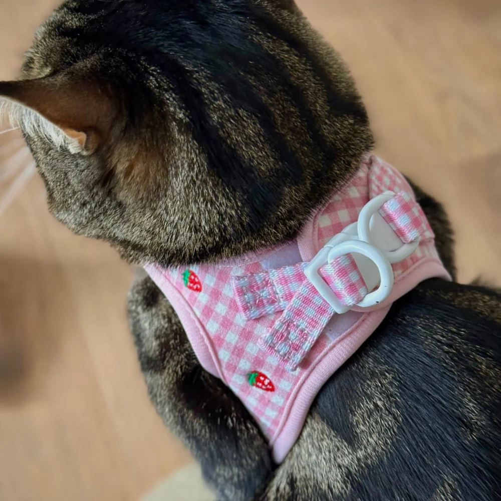 Cat Harness - Strawberry Picnic - Image 6