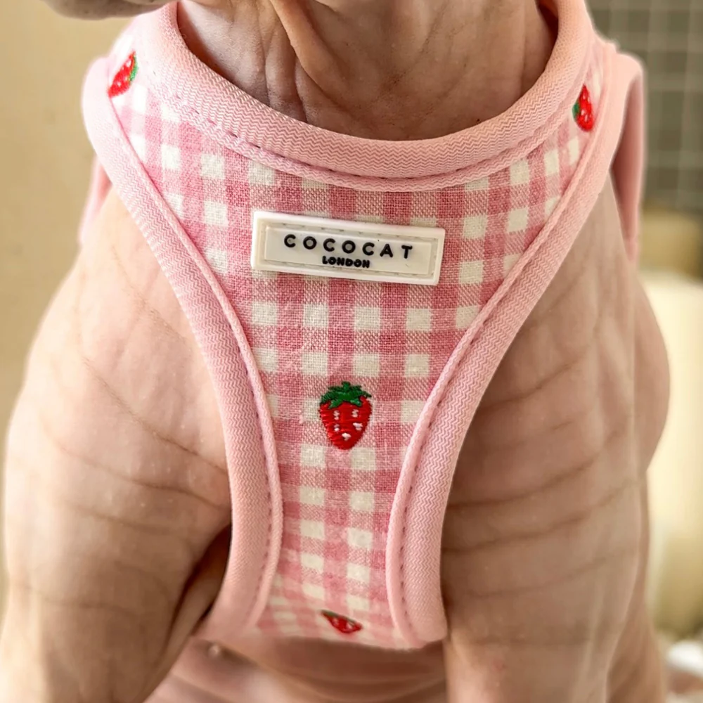 Cat Harness - Strawberry Picnic - Image 7