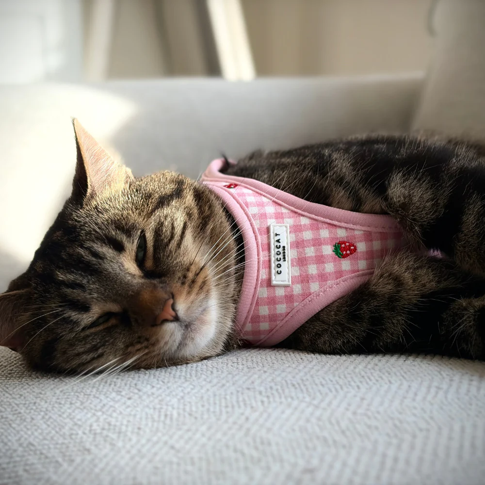 Cat Harness - Strawberry Picnic - Image 8