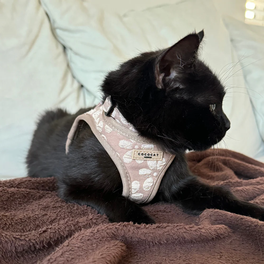 Cat Harness - Mocha Flower - Image 4