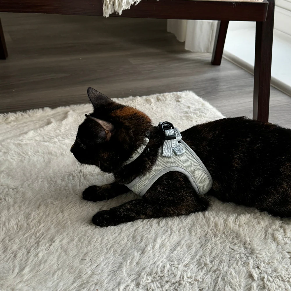 Cat Harness - Sage Tweed - Image 13