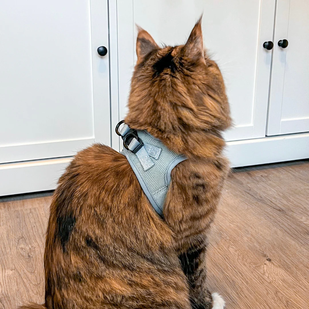 Cat Harness - Sage Tweed - Image 19