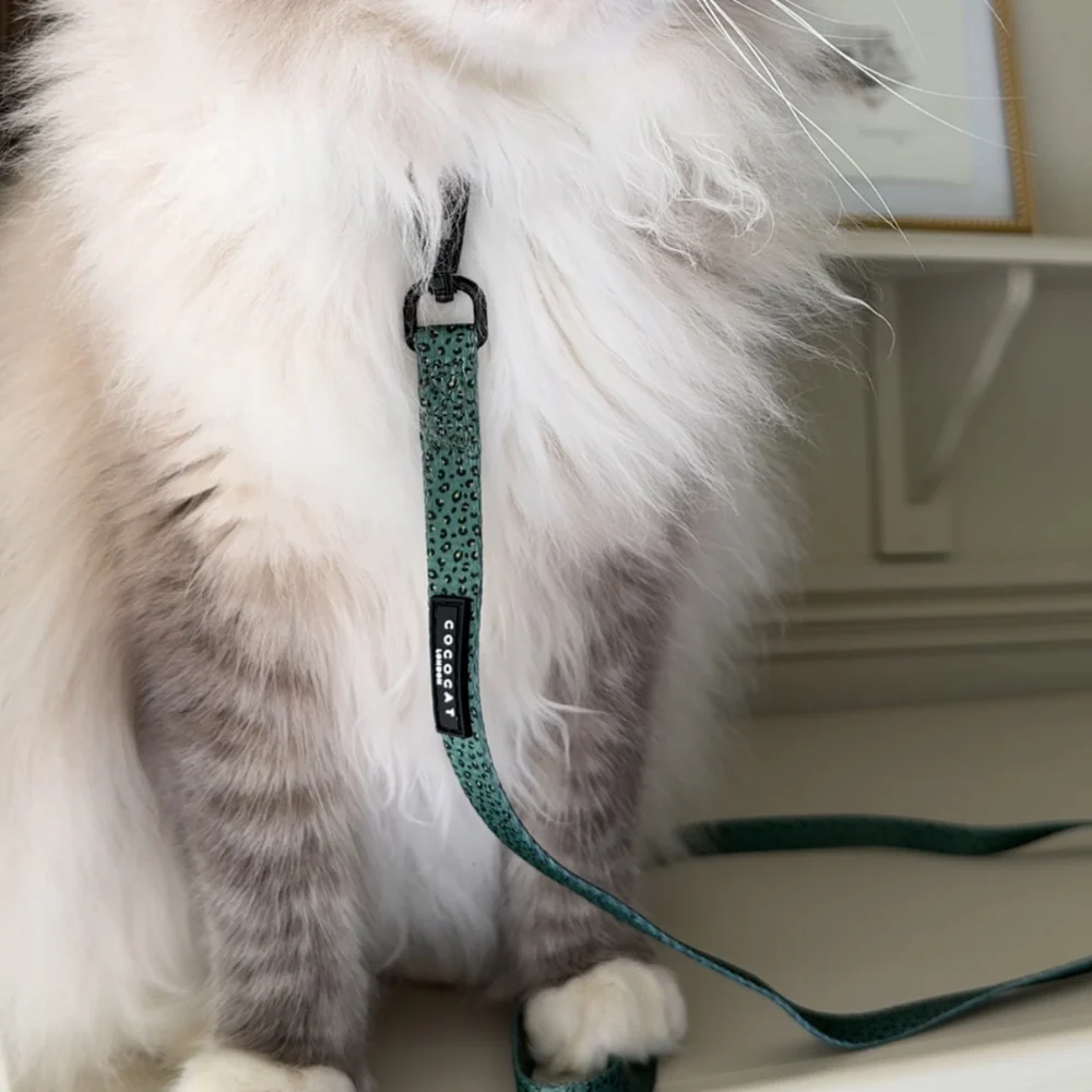 Cat Lead - Khaki Leopard - Image 6