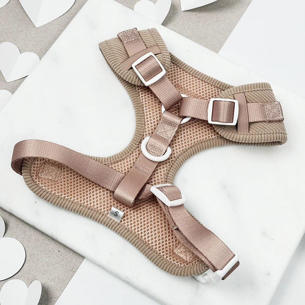 Chai Hearts Adjustable Neck HARNESS - Image 3