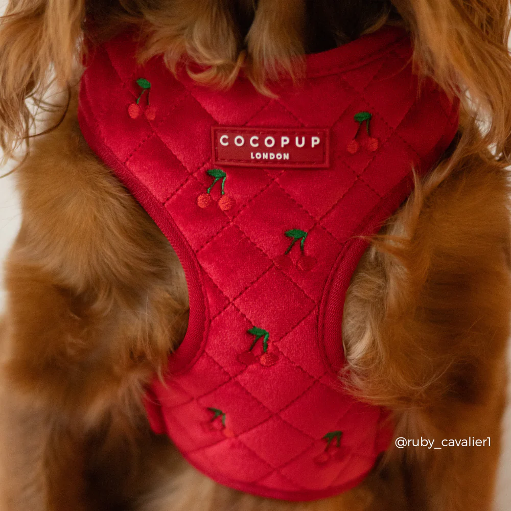 Cherry Velvet Crush Adjustable Neck HARNESS - Image 4