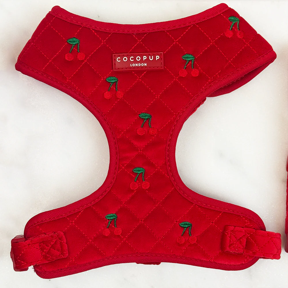 Cherry Velvet Crush Adjustable Neck Harness, Lead & Collar Bundle - Image 2