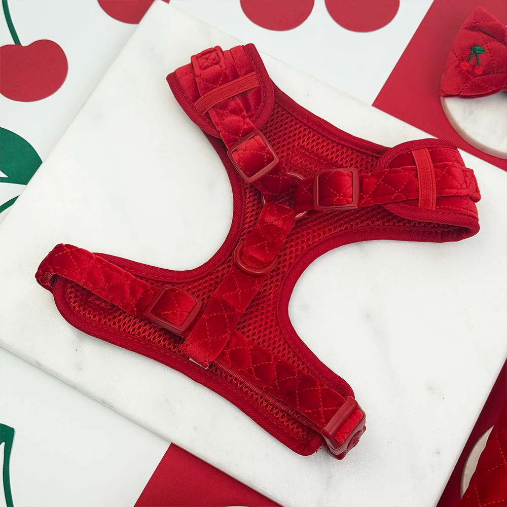 Cherry Velvet Crush Adjustable Neck Harness, Lead & Collar Bundle - Image 5