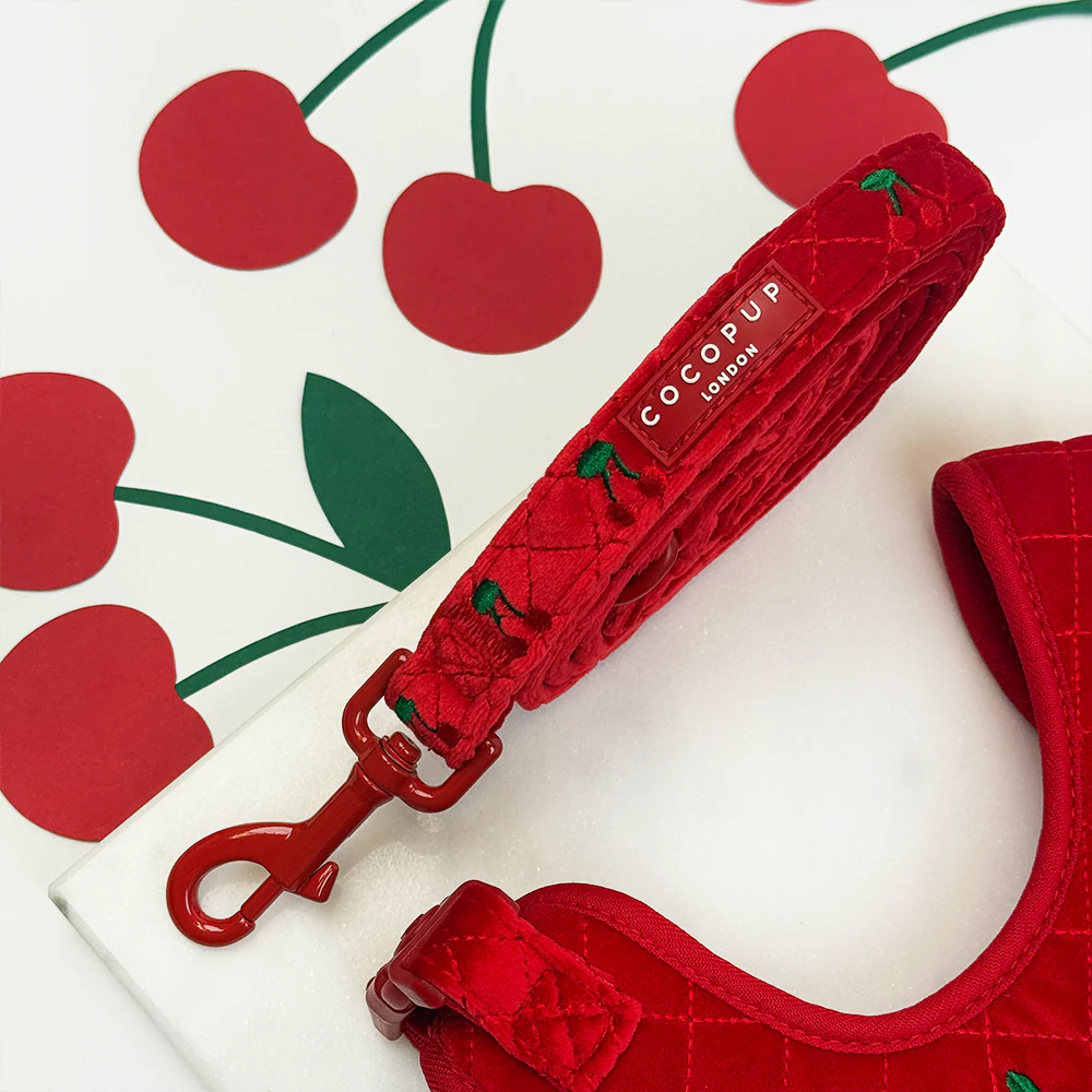 Cherry Velvet Crush Adjustable Neck Harness, Lead & Collar Bundle - Image 6