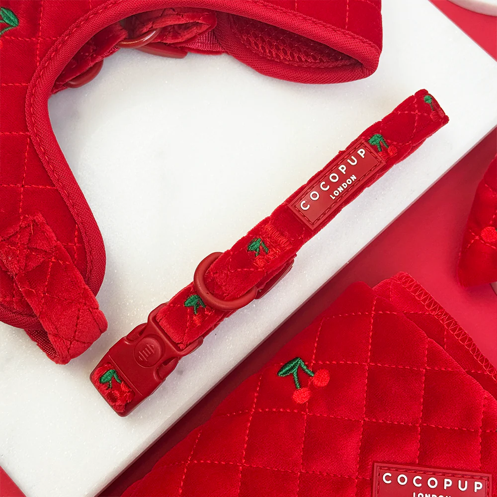 Cherry Velvet Crush Adjustable Neck Harness, Lead & Collar Bundle - Image 8