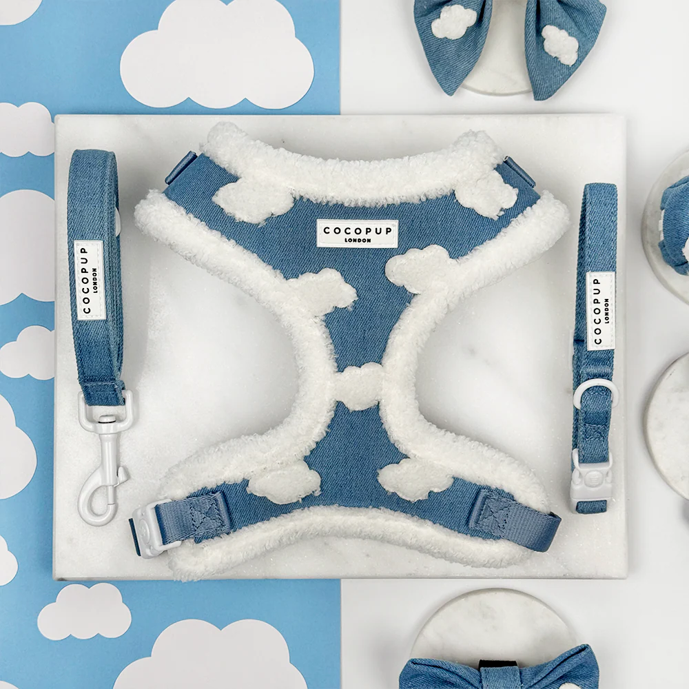 Cloud Nine Adjustable Neck Harness, Lead & Collar Bundle