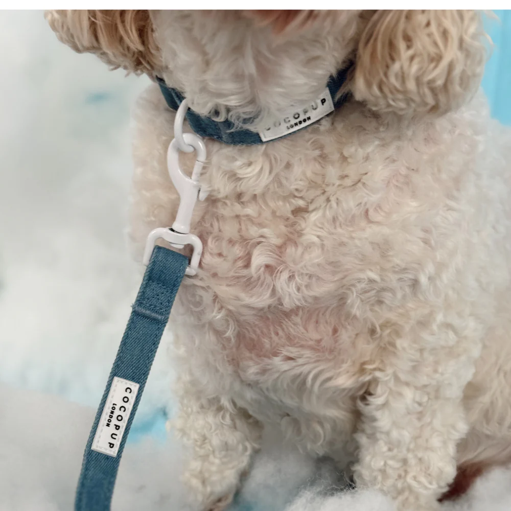 Cloud Nine Lead - Image 2