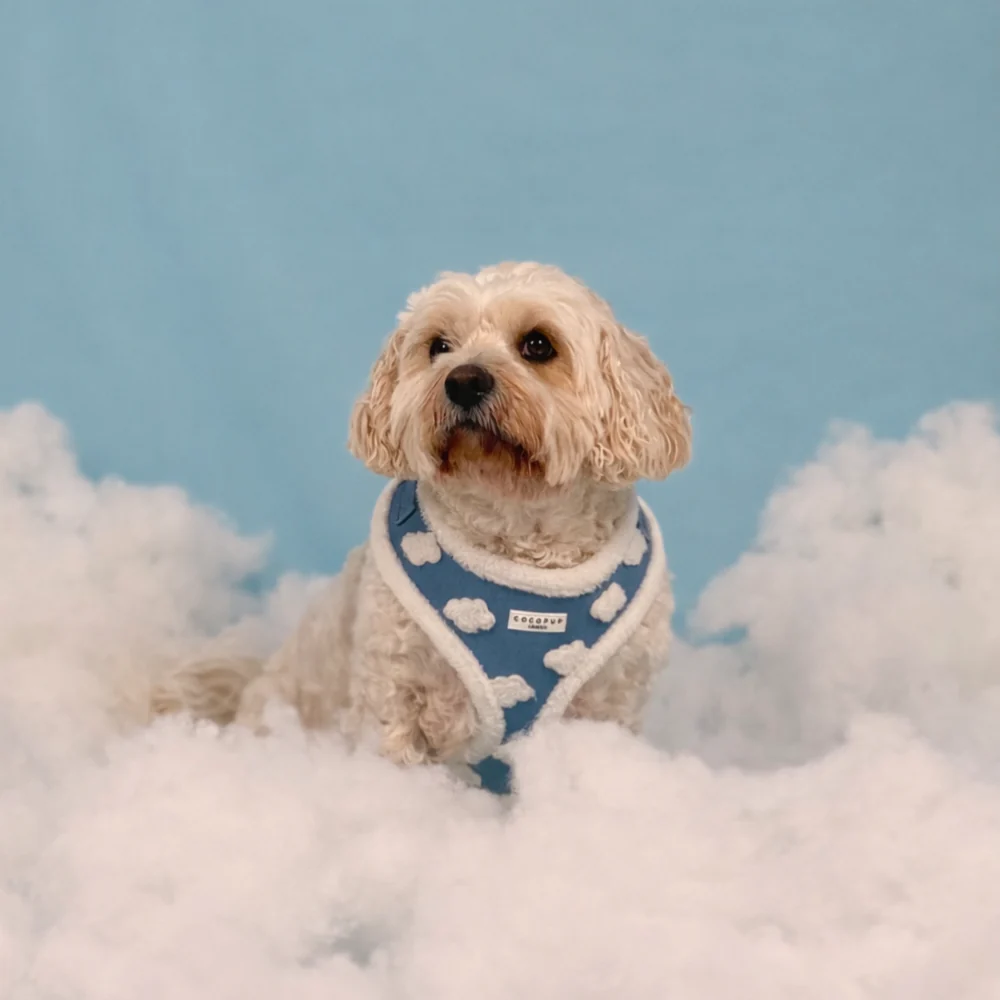 Cloud Nine Adjustable Neck HARNESS - Image 5