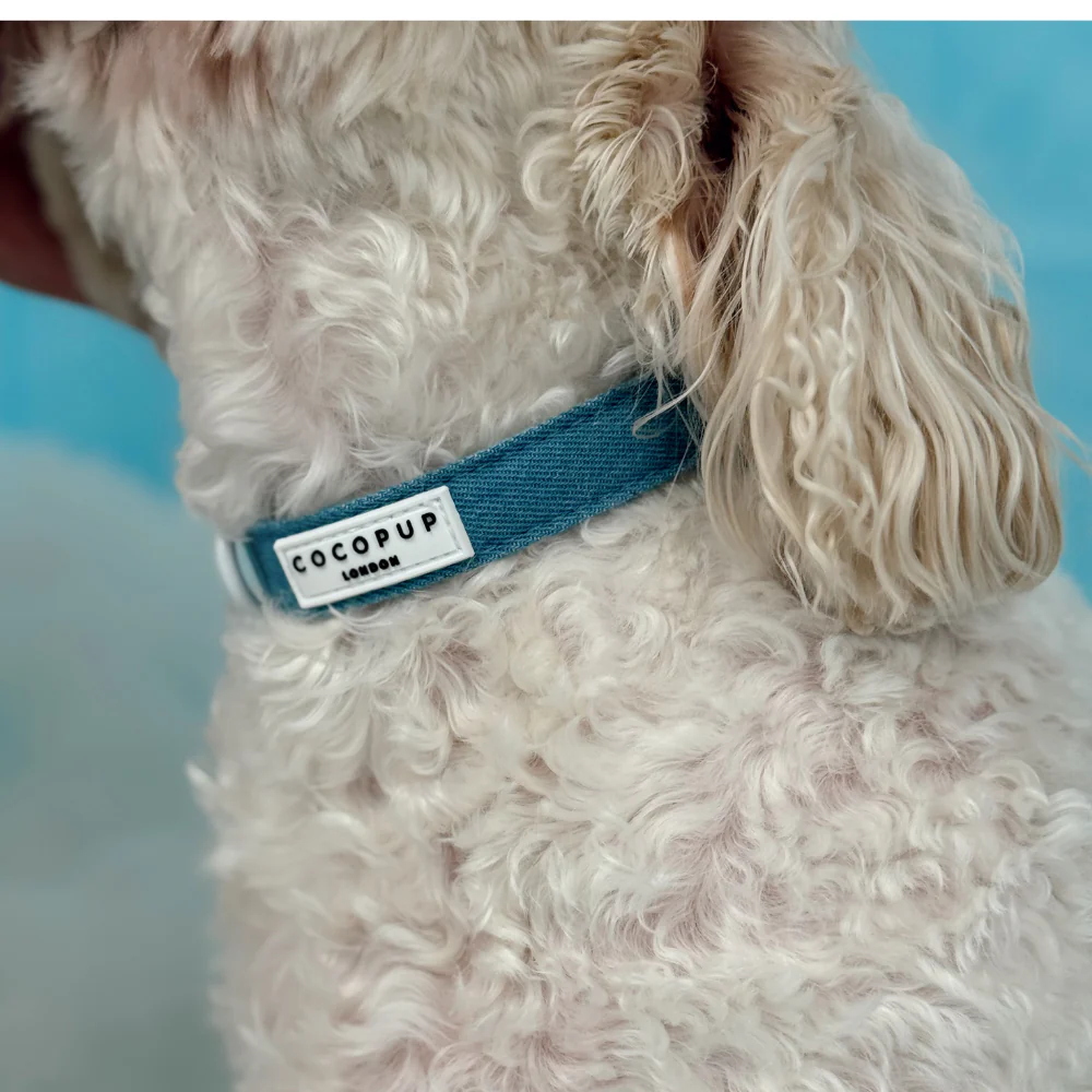 Cloud Nine COLLAR - Image 2