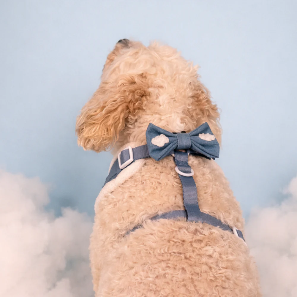 Cloud Nine Bow Tie - Image 3