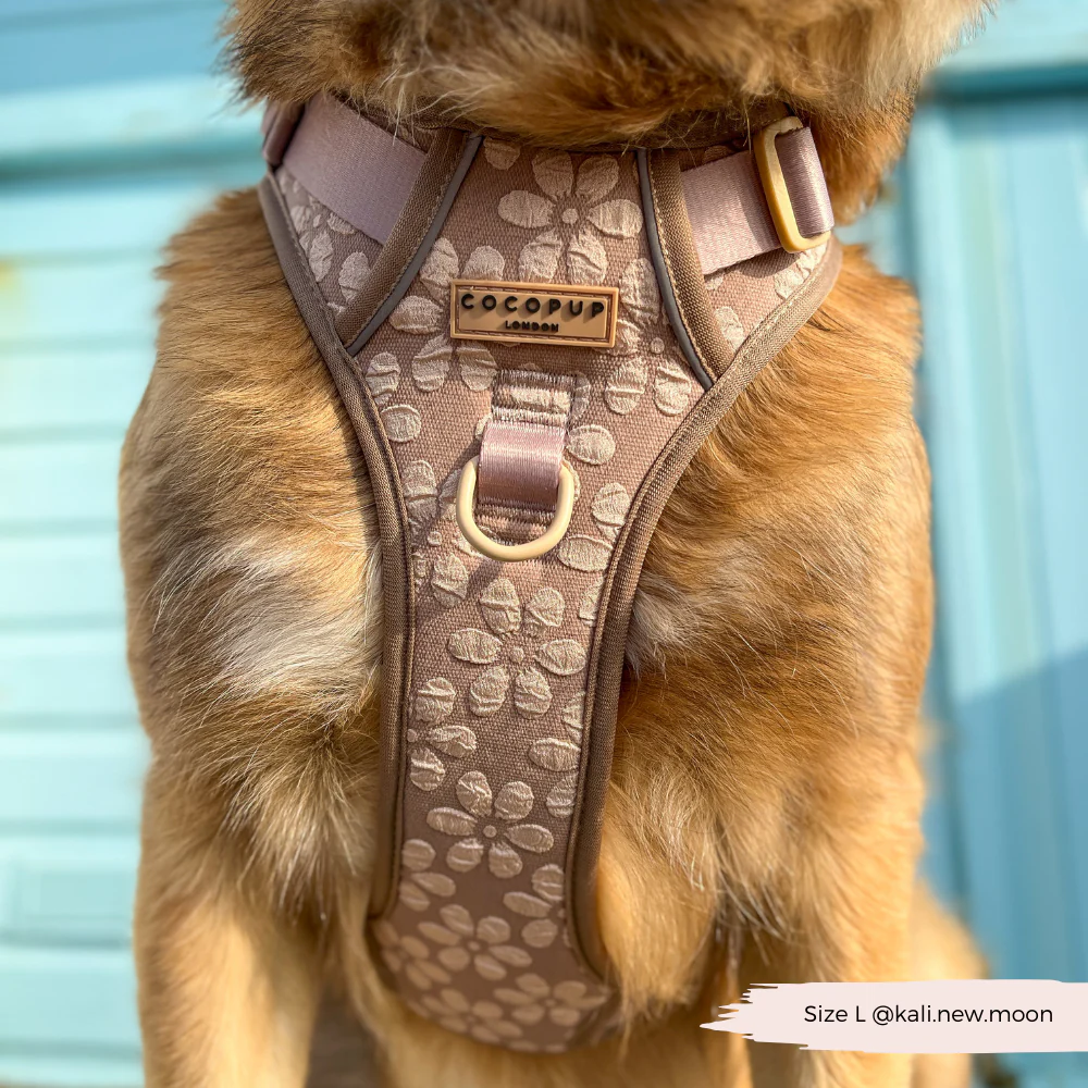 Explore Harness - Mocha Flower - Image 14