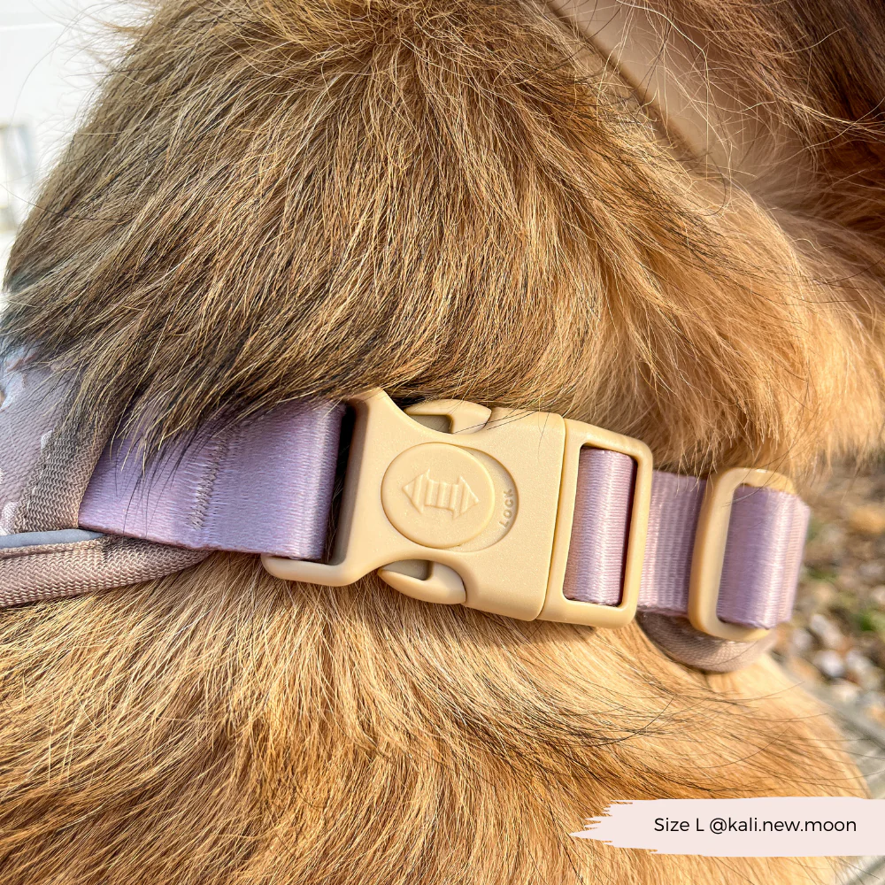 Explore Harness - Mocha Flower - Image 19