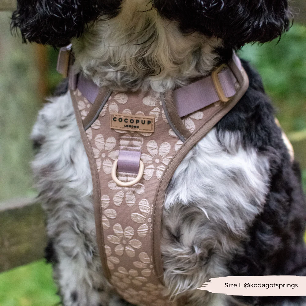 Explore Harness - Mocha Flower - Image 23