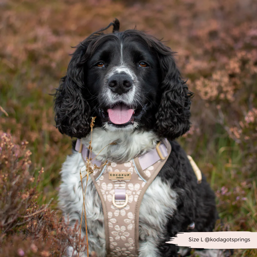 Explore Harness - Mocha Flower - Image 27