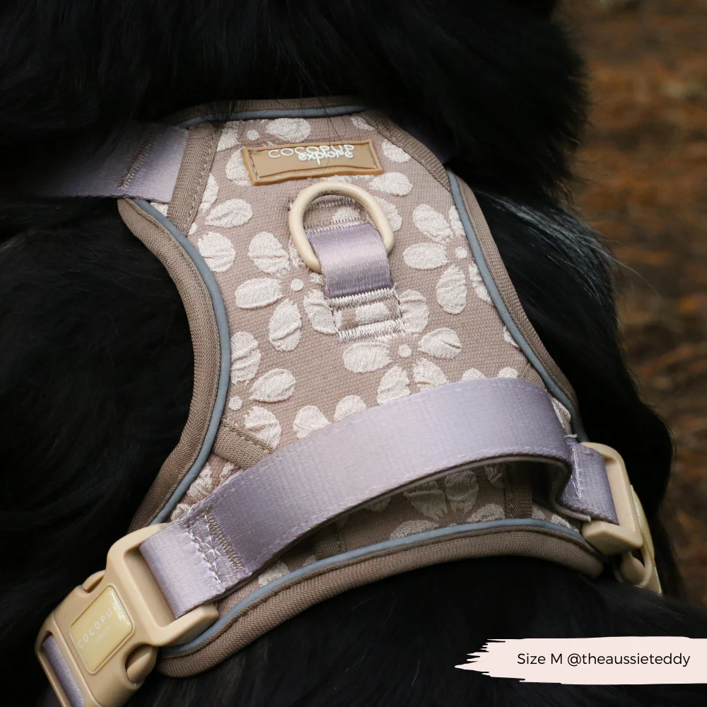 Explore Harness - Mocha Flower - Image 32