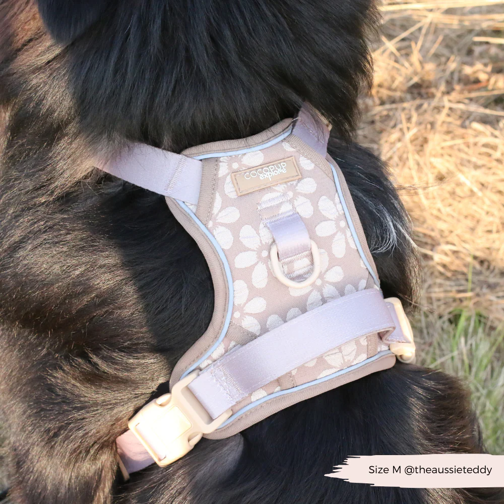 Explore Harness - Mocha Flower - Image 34