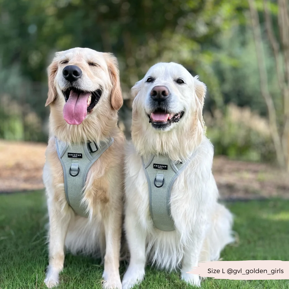 Explore Harness - Sage Tweed - Image 11