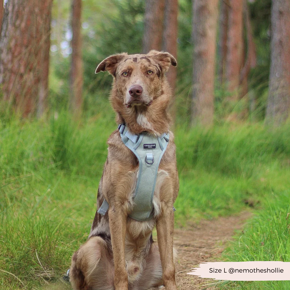 Explore Harness - Sage Tweed - Image 12
