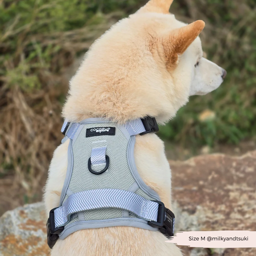 Explore Harness - Sage Tweed - Image 13