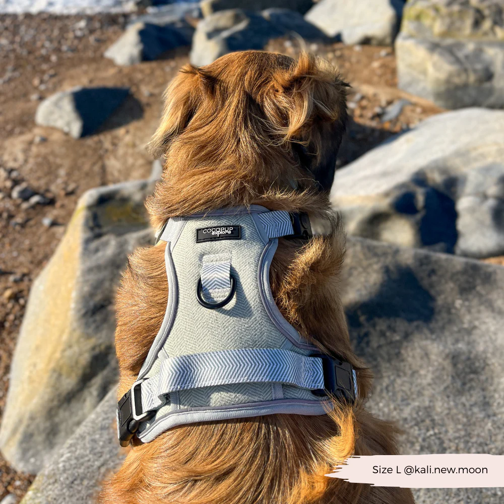 Explore Harness - Sage Tweed - Image 14