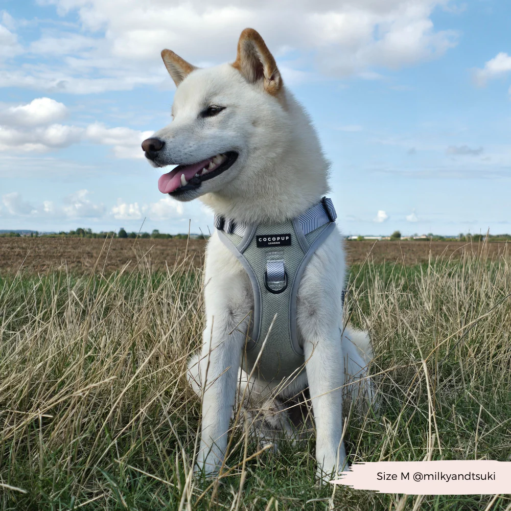 Explore Harness - Sage Tweed - Image 15
