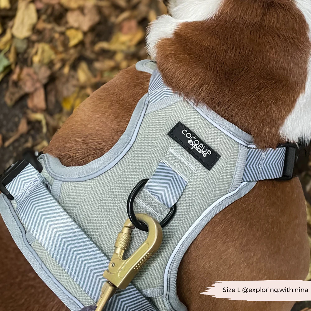 Explore Harness - Sage Tweed - Image 18